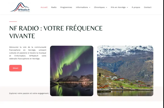 Preview of the home page of nfradio.fr